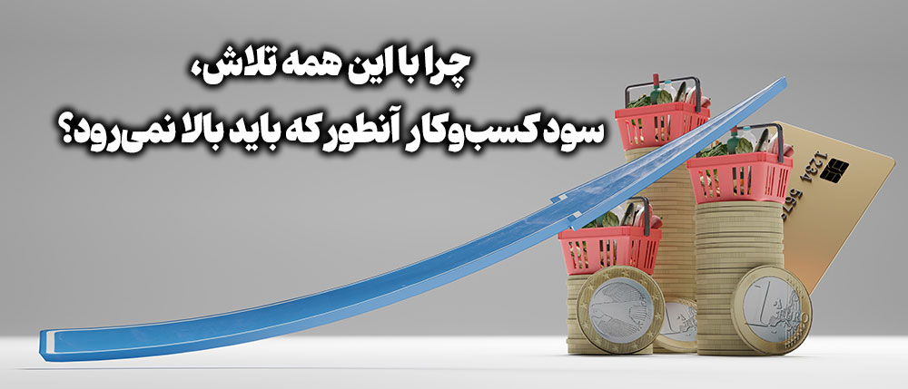 تصویر کاور: چرا با این همه تلاش، سود کسب‌وکار سنگ ما آنطور که باید بالا نمی‌رود؟