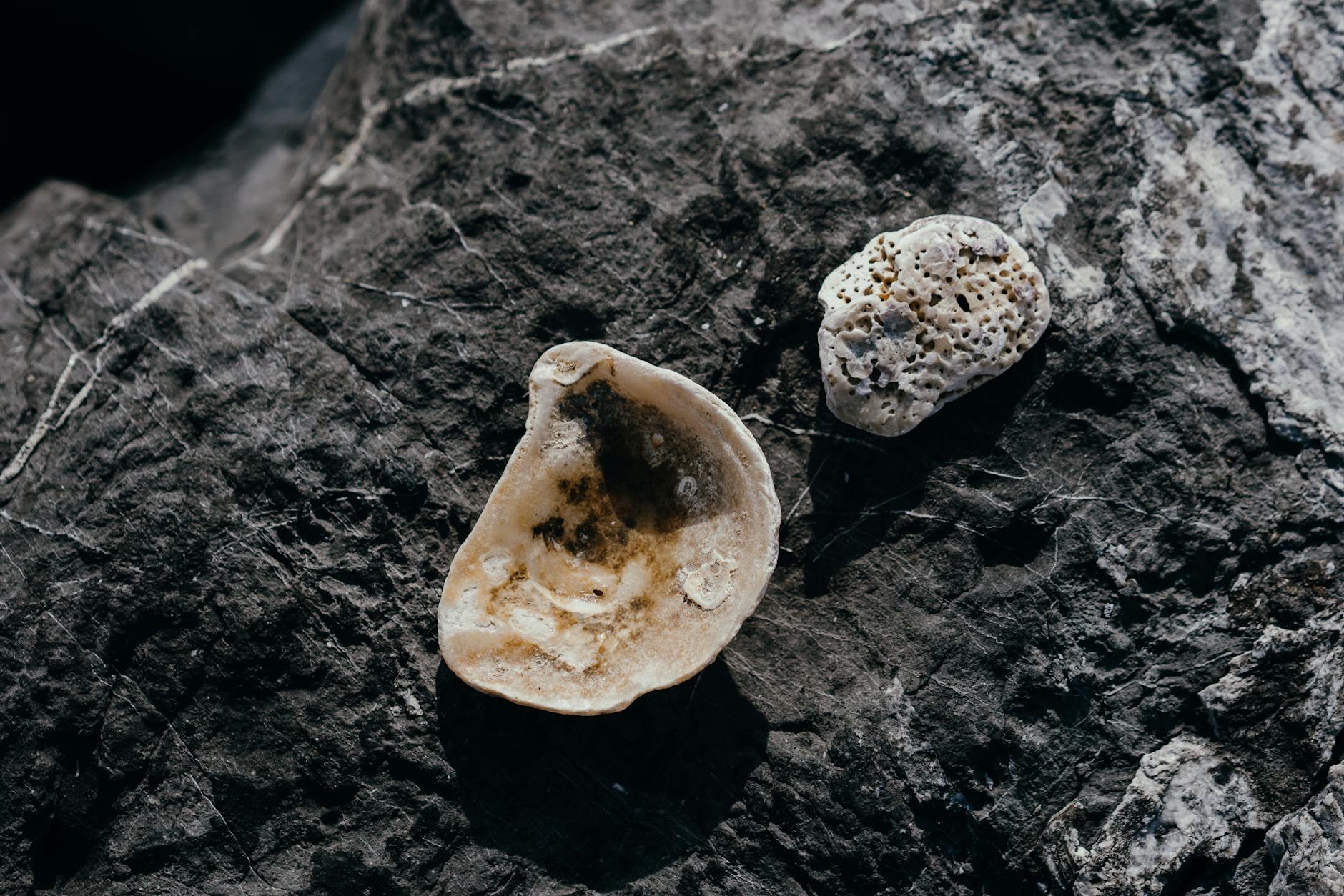 گرانیت: راهنمای جامع مقاومت، زیبایی و کاربردهای بی‌نهایت