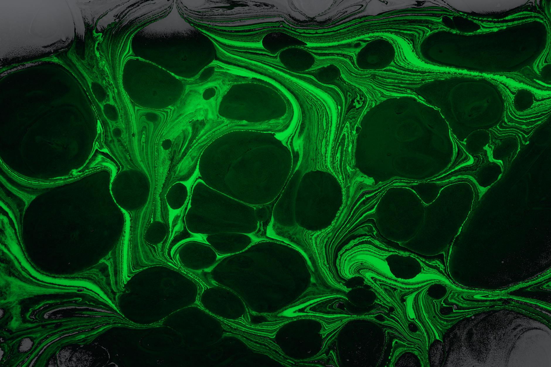 همه چیز درباره سنگ مرمریت: ویژگی‌ها و کاربردهای آن