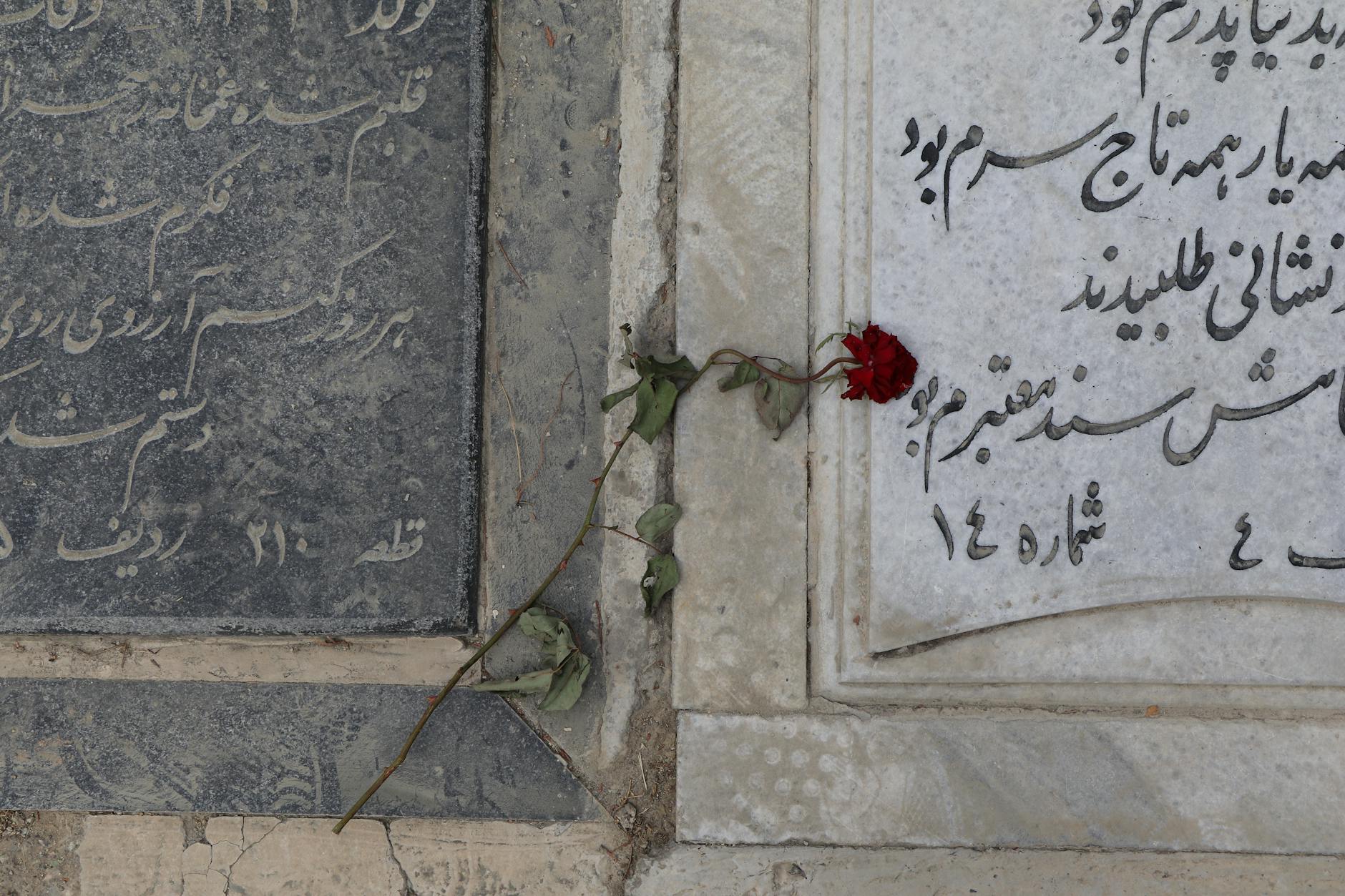 مرمریت: گنجینه‌ای از طبیعت برای معماری پایدار؛ راهنمای جامع شما