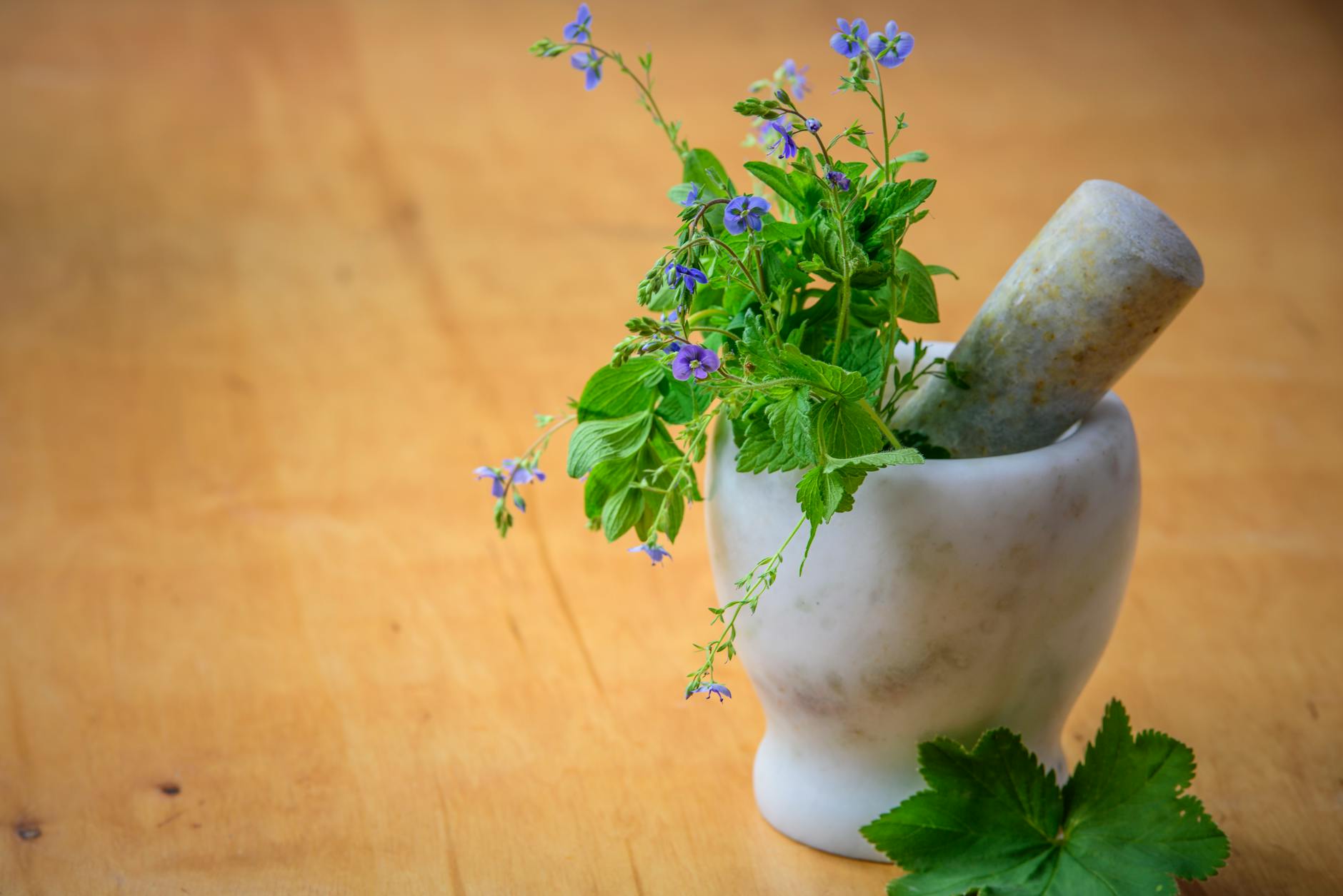 راهنمای جامع و تخصصی سنگ مرمر: از انواع و ویژگی‌ها تا کاربردها و نکات خرید