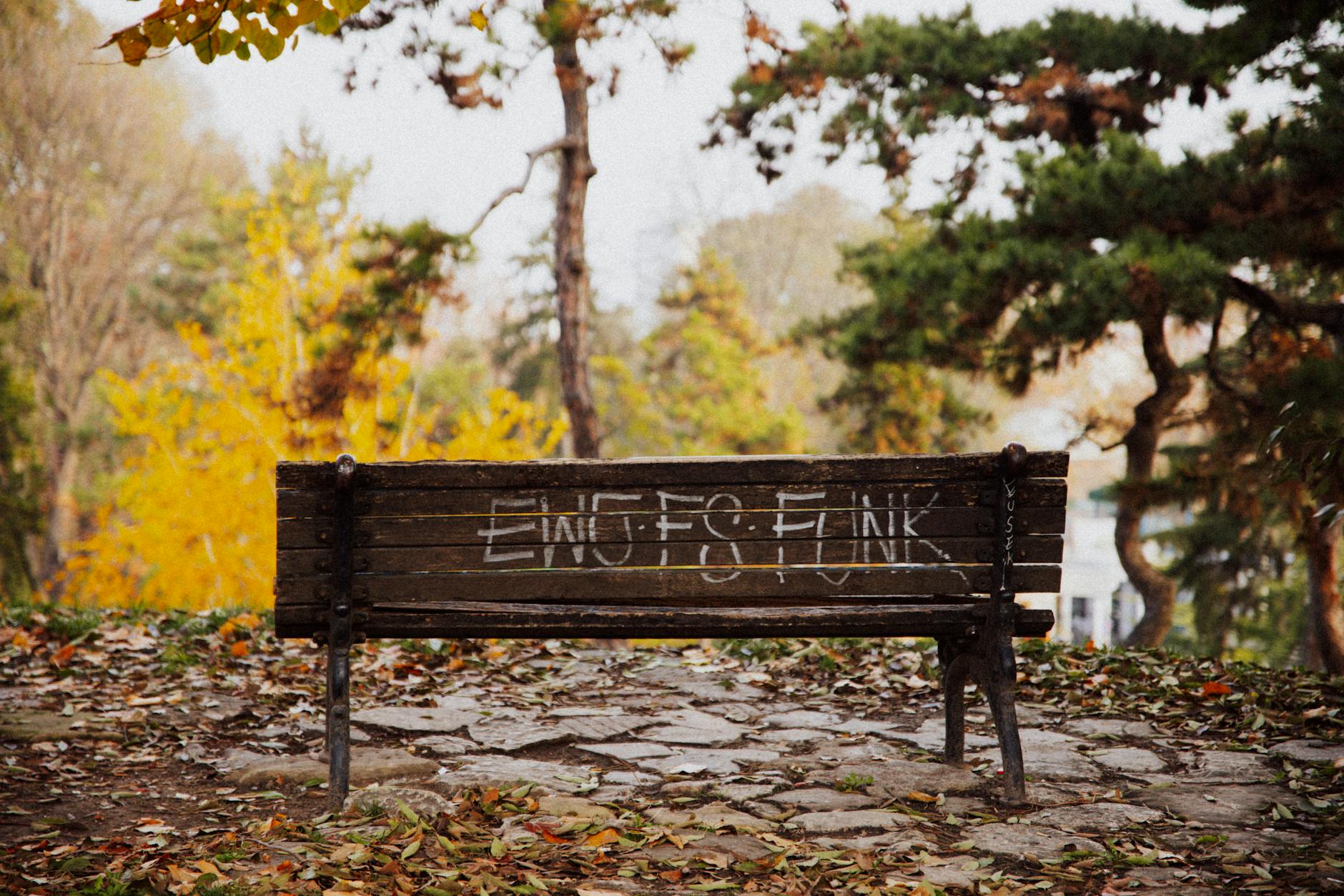 سنداستون: راهنمای جامع برای زیبایی و کاربردهای این سنگ طبیعی