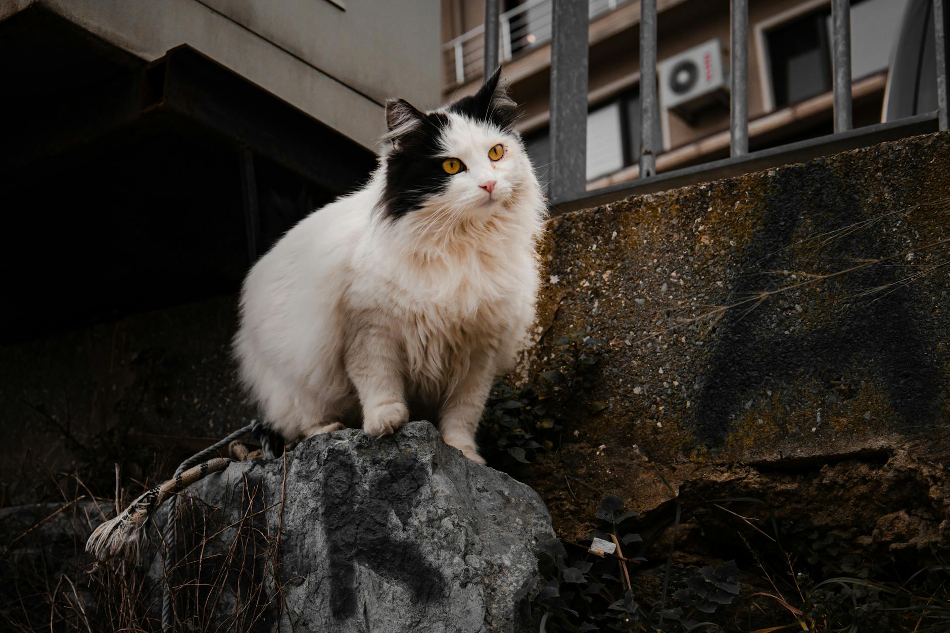 سنداستون: سنگی با زیبایی طبیعی و کاربردهای متنوع در طراحی