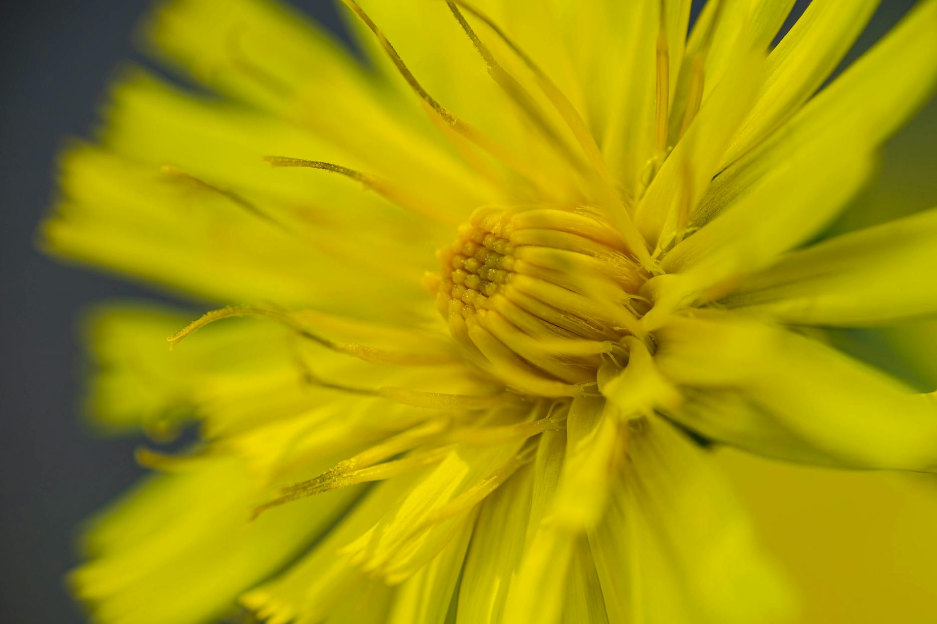 راهنمای جامع و تخصصی درباره سنگ سنداستون: ویژگی‌ها و کاربردها