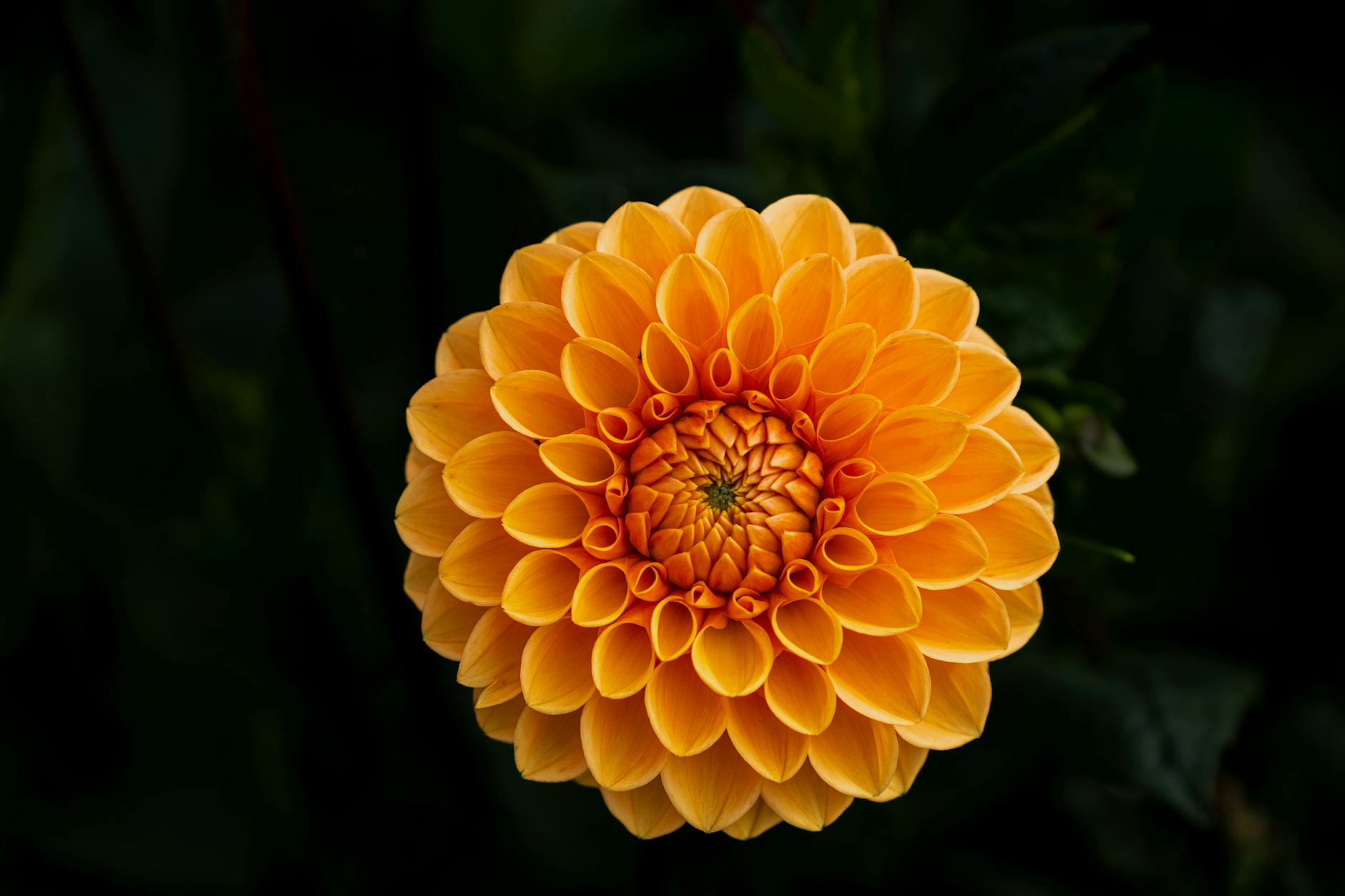 راهنمای کامل و تخصصی درباره سنگ سنداستون: ویژگی‌ها و کاربردها