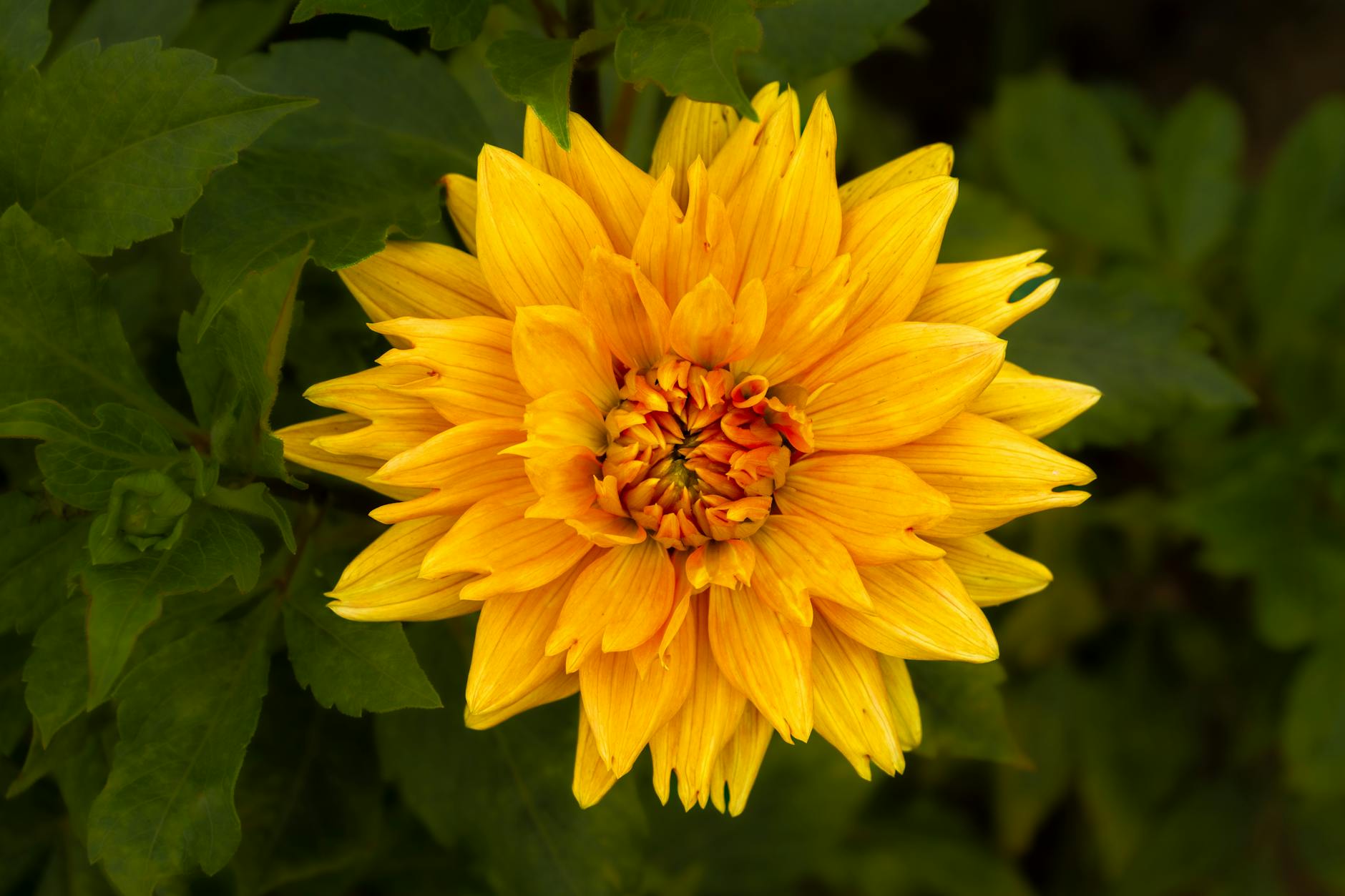 سنداستون: راهنمای کامل برای شناخت ویژگی‌ها و کاربردهای آن