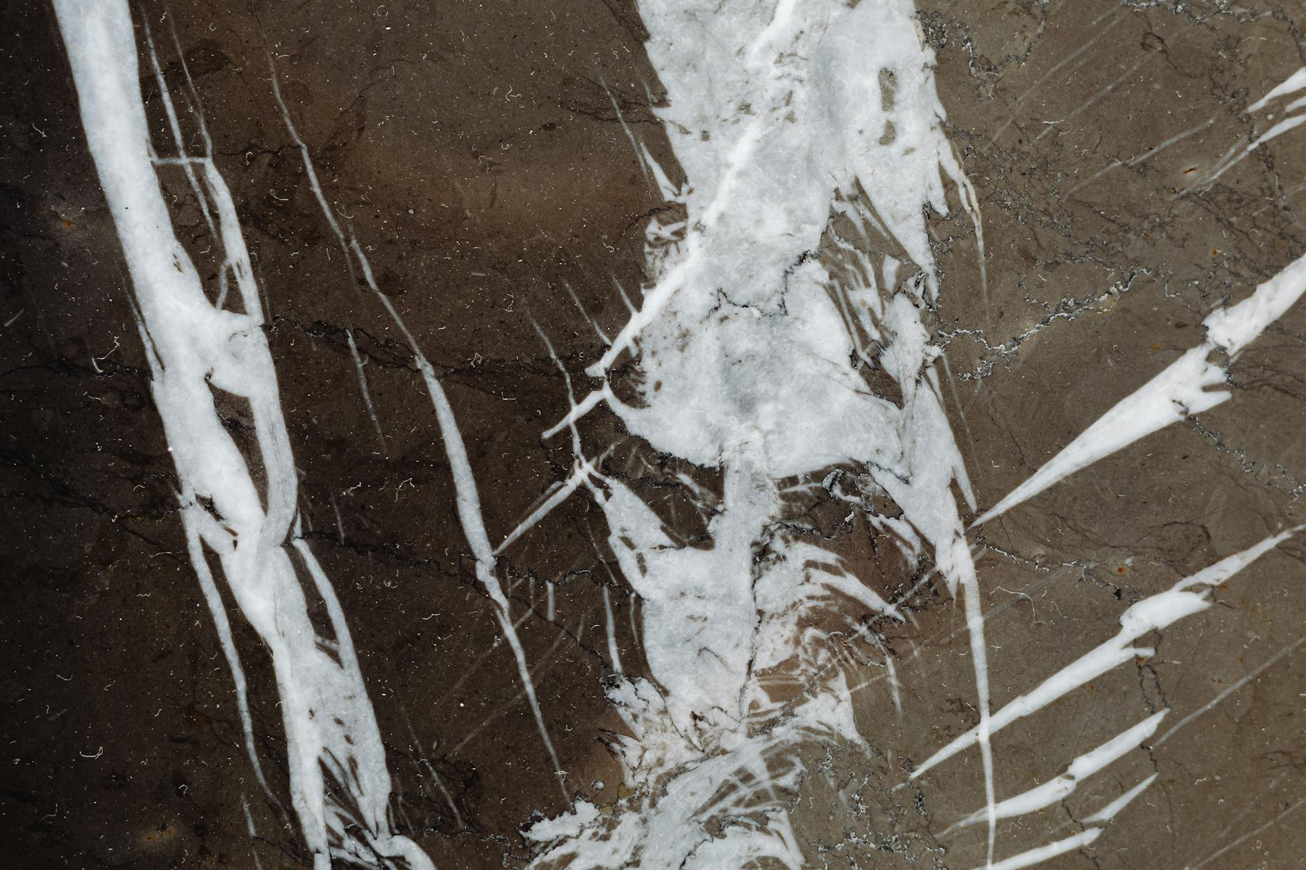 ترامیت: تعادل بی‌نظیر زیبایی و دوام برای پروژه‌های ساختمانی شما