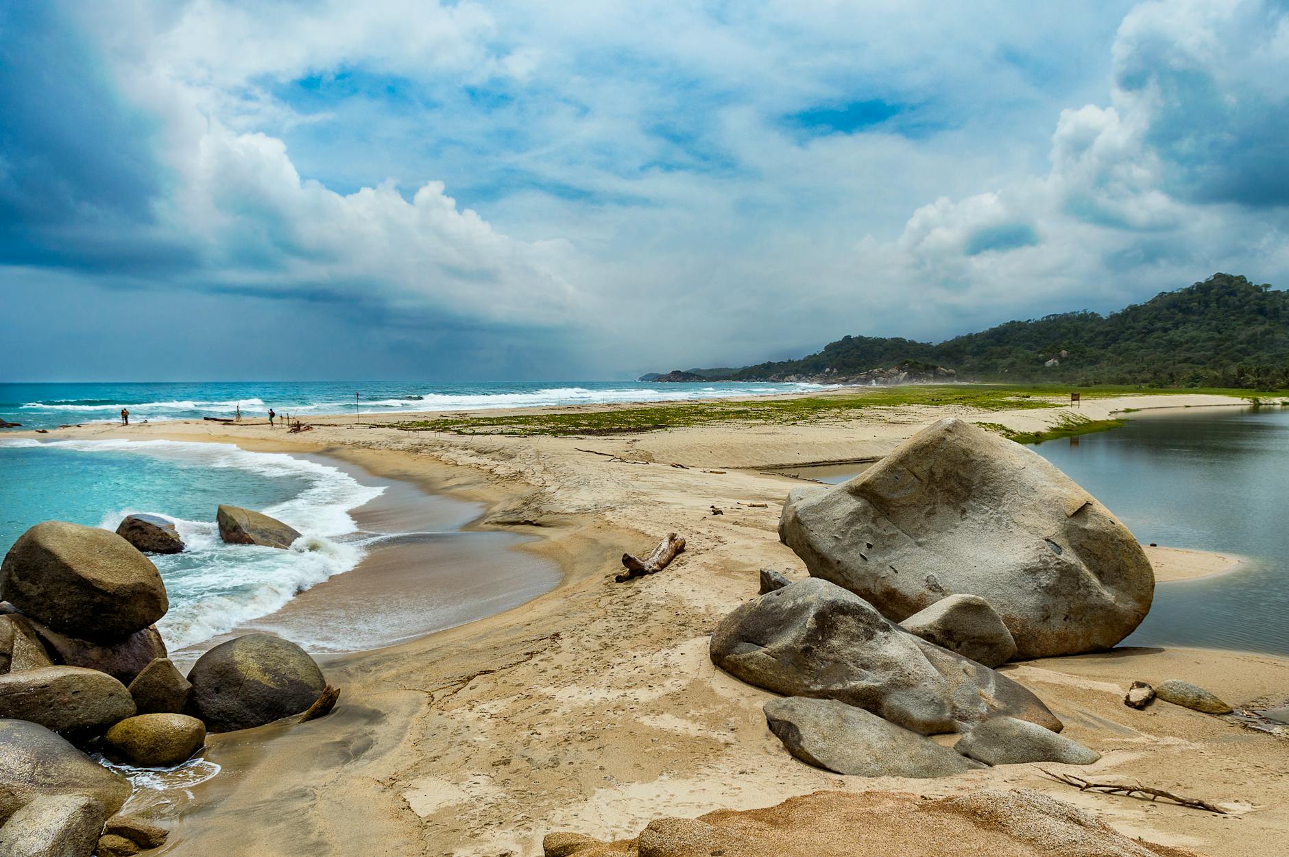 مقالات ترااونیکس