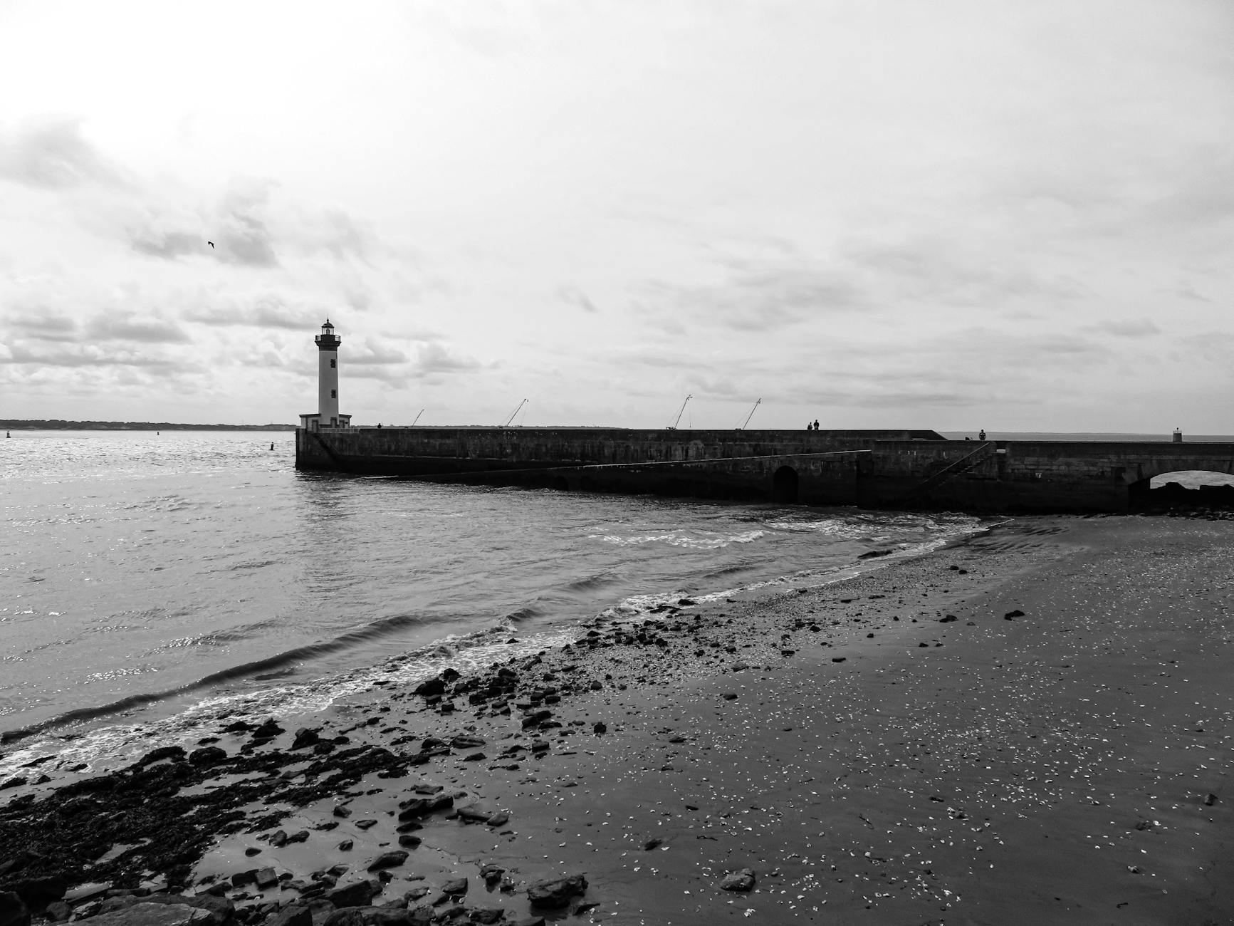 ترااونیکس: اعجاز طبیعت در معماری؛ راهنمای جامع انتخاب، کاربرد و نگهداری