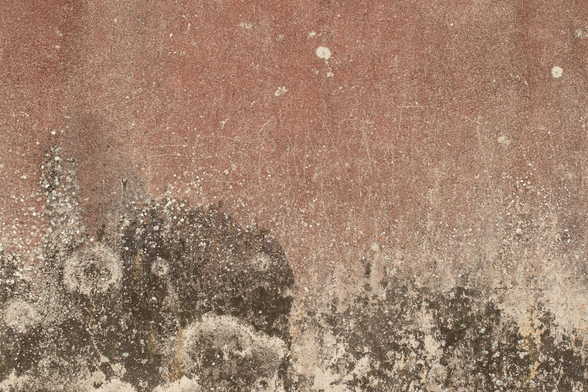 تراورتن: راهنمای انتخاب هوشمندانه و کاربرد تخصصی در طراحی داخلی و نما