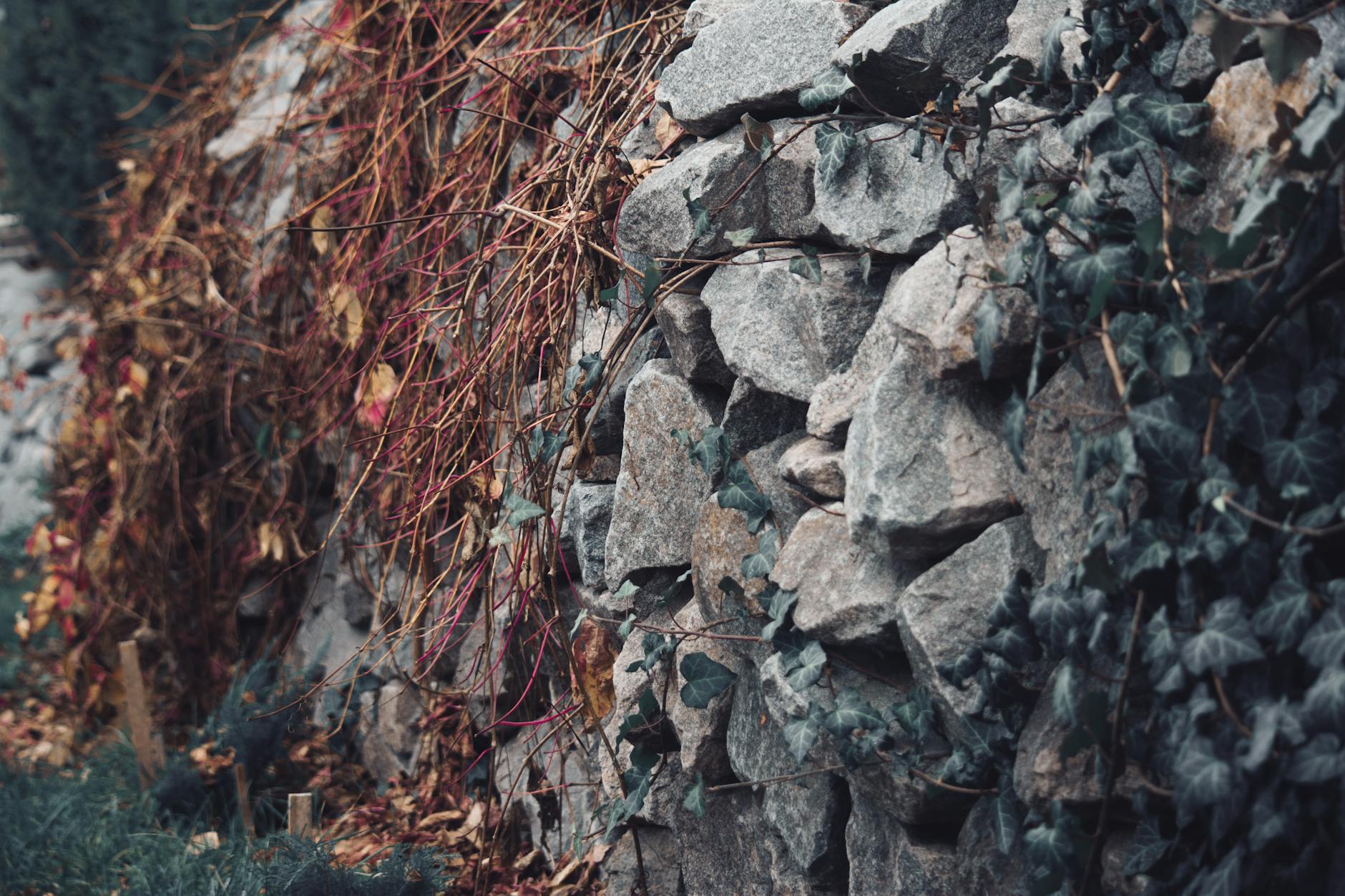 تراورتن: قلب تپنده زیبایی و استحکام در نما و دکوراسیون