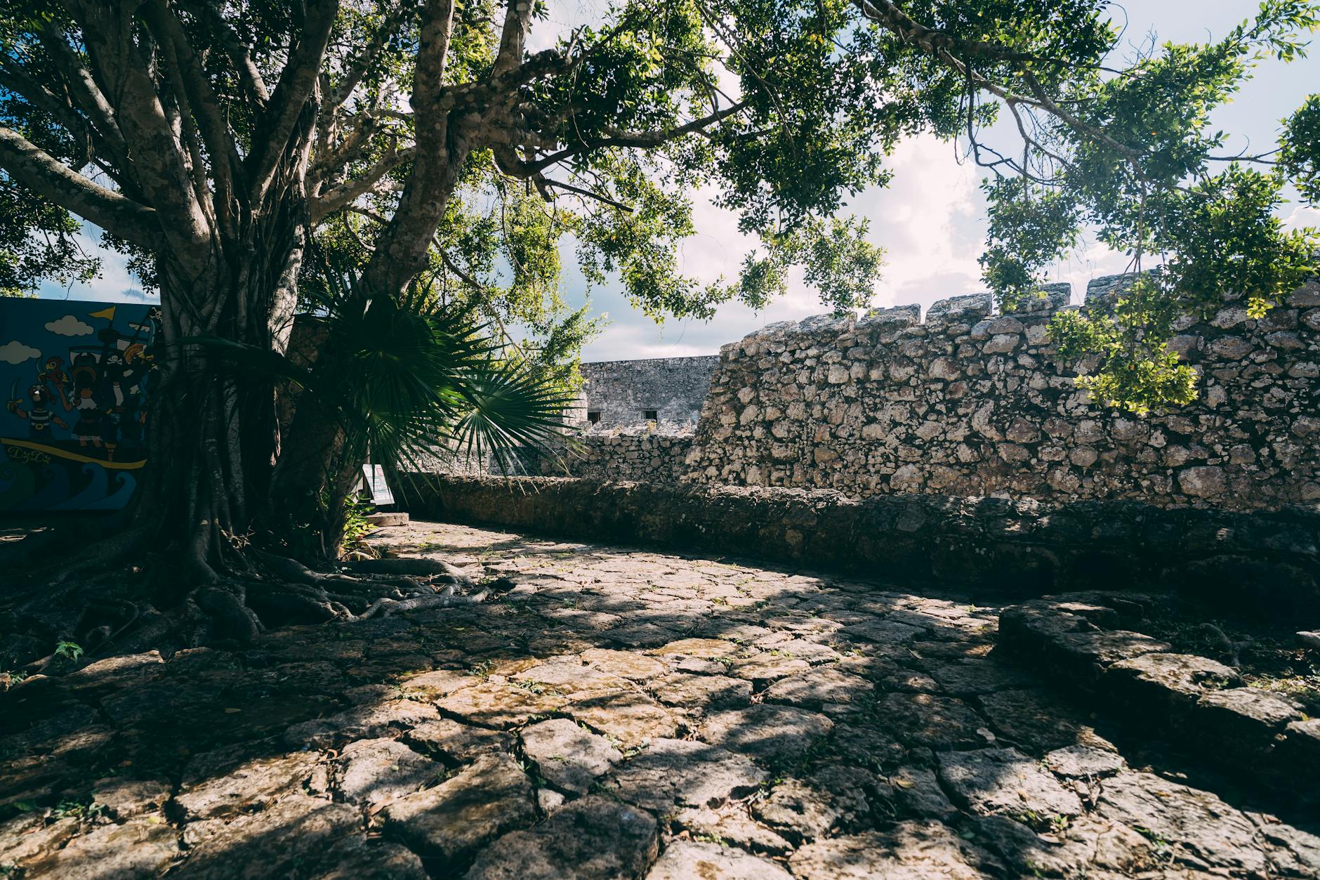 تراورتن: راهنمای نهایی انتخاب، مزایا و نگهداری برای زیبایی پایدار بنا