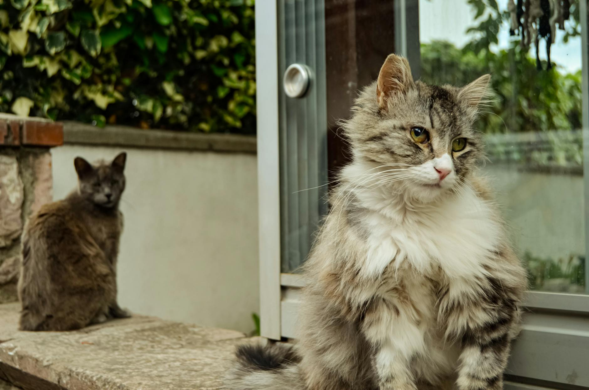 تراورتن: سنگی با زیبایی و کارایی بی‌نظیر برای دکوراسیون داخلی